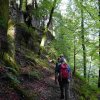 09 b Schluchensteig Etappe 4 - 6